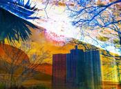 Proud Creature Opening