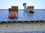 Metal Roof Restoration Popular Choice?