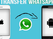Move WhatsApp From iPhone Android?