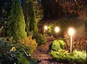 Lighting Fixtures Your Landscape Design