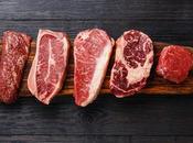 Science Science, Matter What Conclusions