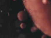 Carbon Monoxide Pets BestHeating Guide