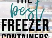 Best Freezer Containers