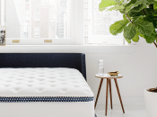 Best Mattress Couples Reviewed