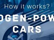 Hydrogen-powered Cars Work? (Visual Content)