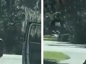 This Very Racist United States America