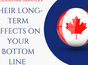 Accounting Services Their Long Term Effects Your Bottom Line