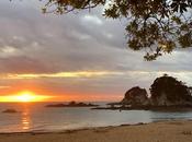 ZEALAND DURING COVID-19 PANDEMIC, Part ABEL TASMAN PAPAROA NATIONAL PARKS, Guest Post Caroline Hatton