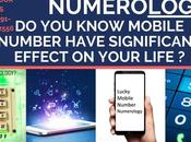 Mobile Numerology Course 2020