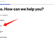 Delete Spotify Account Permanently?