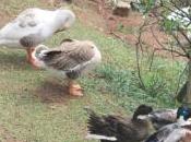 POEM: Scenes from Park Bench