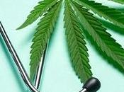 Cannabis Stop Coronavirus From Infecting People, Study Finds