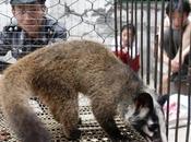 China Province Pays Compensation Abstaining from Wild Animals