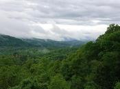 Rain Etc.