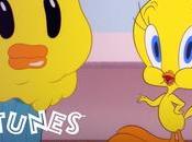 Releases Three Looney Tunes Shorts YouTube