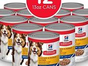 What Best Canned Food Senior Dogs 2020?