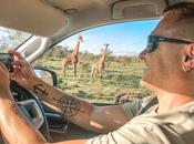 Self-Drive Safari Kruger National Park, South Africa (Detailed Guide)