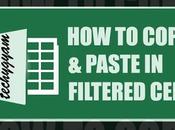 Excel Paste Filtered Data into Cells