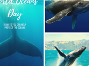 World Oceans Day: Save Habitat Humpback Whale