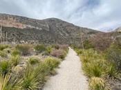 Hiking Guadalupe Mountains National Park: Greatest Park Texas