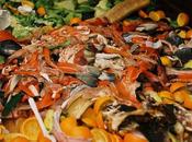 Warns World Witnesses Worst Ever Food Crisis Seen Half Century Triggered COVID-19 Pandemic