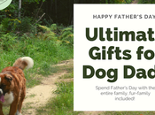 Happy Father's Day: Best Gifts Owner Dads