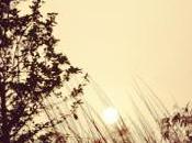 Insta-Travel Photographic Journey Around World