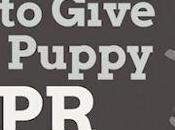 Give Your Puppy