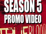 True Blood Season Authority