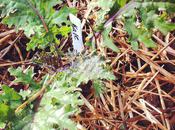 Wonder What I've Been