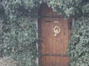 POEM: Door Nevermore