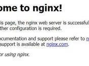 Install Nginx Ubuntu 16.04