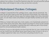 Types Collagen Protein Powder Them