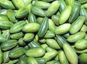 Health Benefits Pointed Gourd/parwal