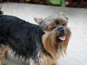 Inspired $475,000 Sale Wisdom.com