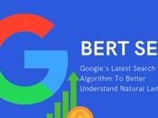 Unraveling Google BERT Update Knowing Relation with Optimization