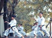 Martial Arts Your Health?