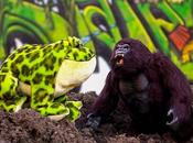 Garden Eden... [the Epic Jump Kong]