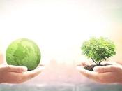 Fascinating Facts About Environment That Might Surprise