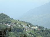 Fighting Covid States Response Media