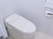 Decors Toilet Reviews