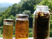 Lemon Balm Tincture