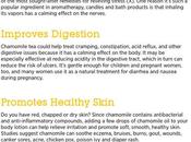 Chamomile Benefits, Side Effects Dosage