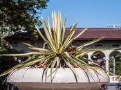 Columbus Park, Hoboken,