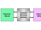 Brain, Mind, GPT-3, Part Dimensions Conceptual Spaces