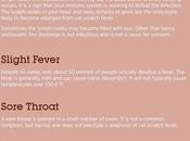 Scratch Fever: Characteristics, Causes Treatment