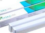 Best Tube Lights India 2020