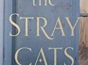 Stray Cats Homs Nour