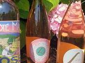 Rosè Wines Domaines Paul Shine Terroirs Langeudoc