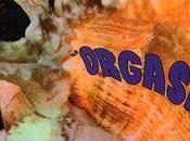 Head Machine Orgasm, 1970